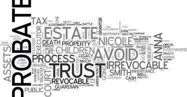WHY A WILL IS NOT ENOUGH TO SAVE ANNA NICOLE SMITH S BABY DAUGHTER TEXT WORD CLOUD CONCEPT